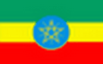 ethiopia Online phone number